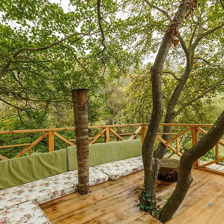 Cozy House Surrounded By Nature In Ağva