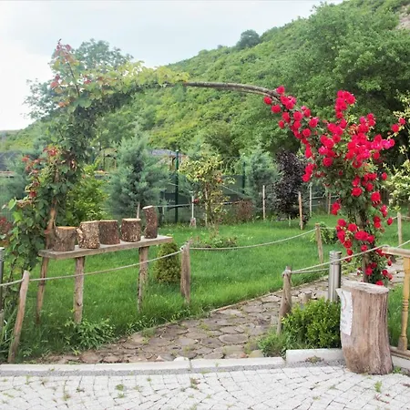 Cozy House Surrounded By Nature In * Sile