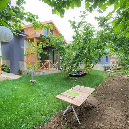 Cozy House Surrounded By Nature In * Sile