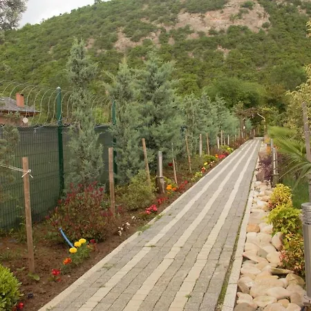 Cozy House Surrounded By Nature In * Sile